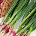 Spring & stem onions